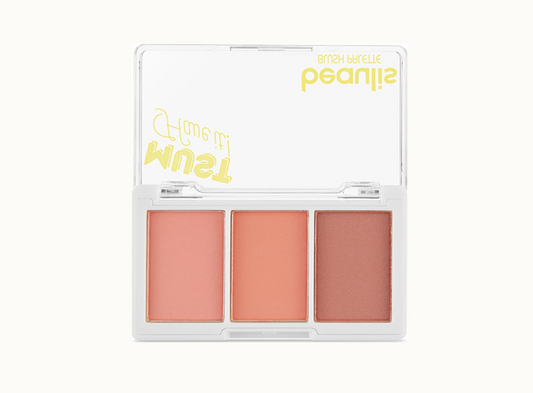 Must Have It Mini Blush Palette