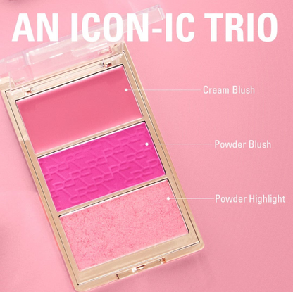 Blush Icon Palette